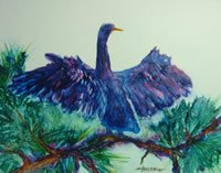 Painting of an anhinga